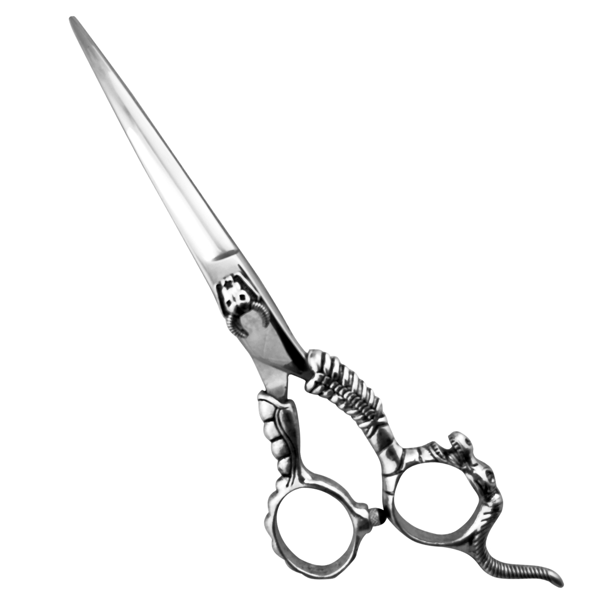 Professional hair Cutting Scissors