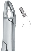 Tooth Extracting Forceps|(amr)