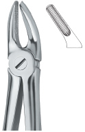 Tooth Extracting Forceps|(eng)