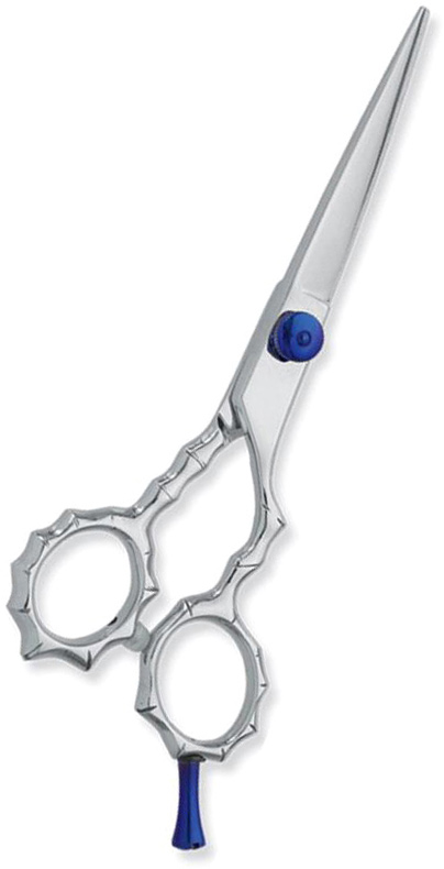 Professional hair Cutting Scissors