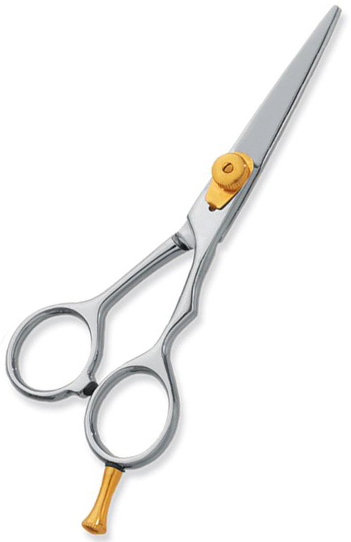 Professional hair Cutting Scissors