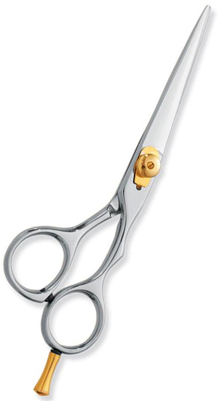 Professional hair Cutting Scissors