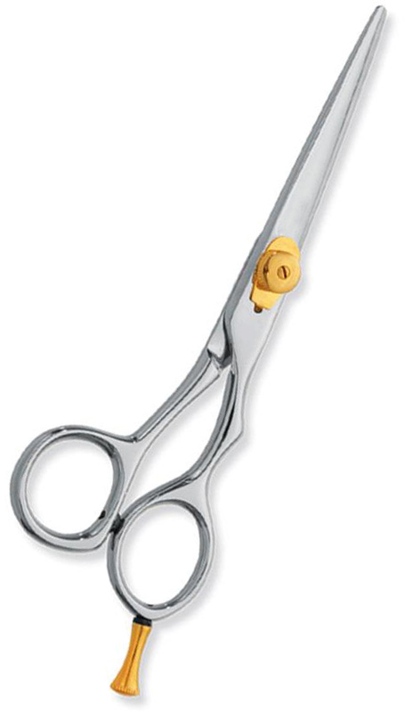 Professional hair Cutting Scissors