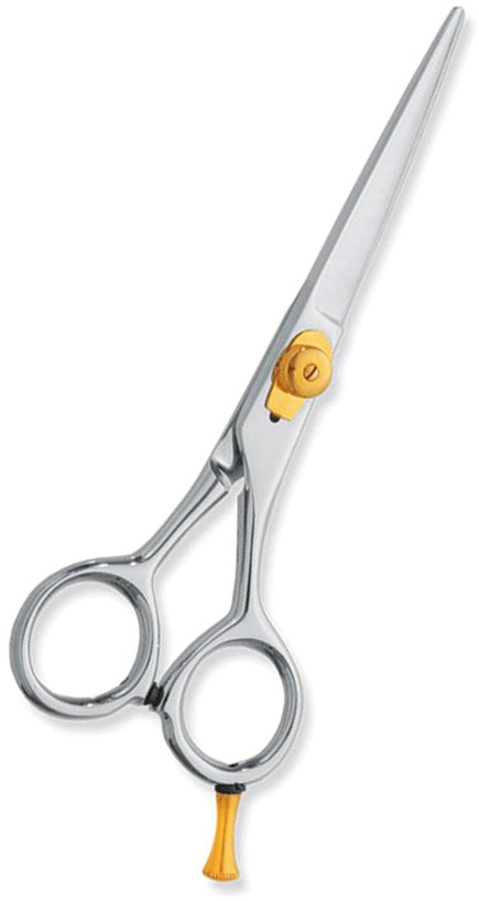 Professional hair Cutting Scissors