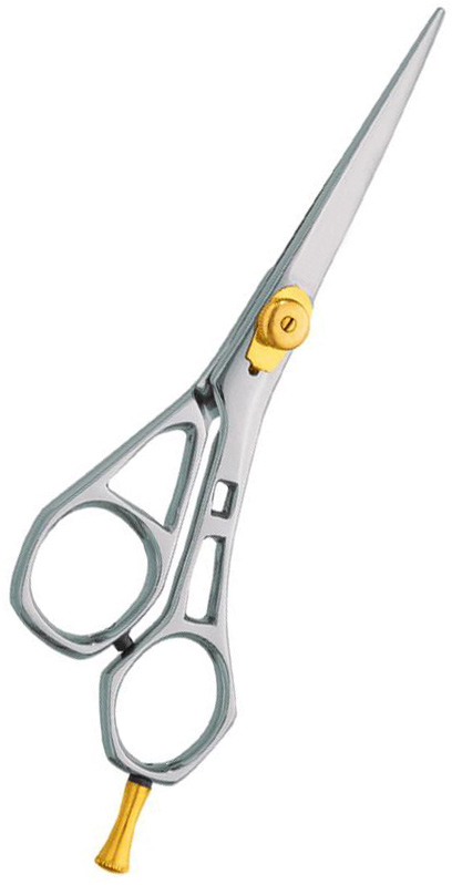 Professional hair Cutting Scissors