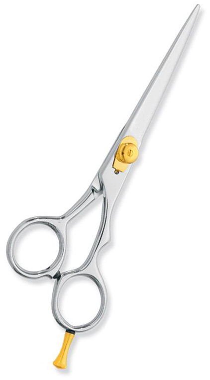 Professional hair Cutting Scissors